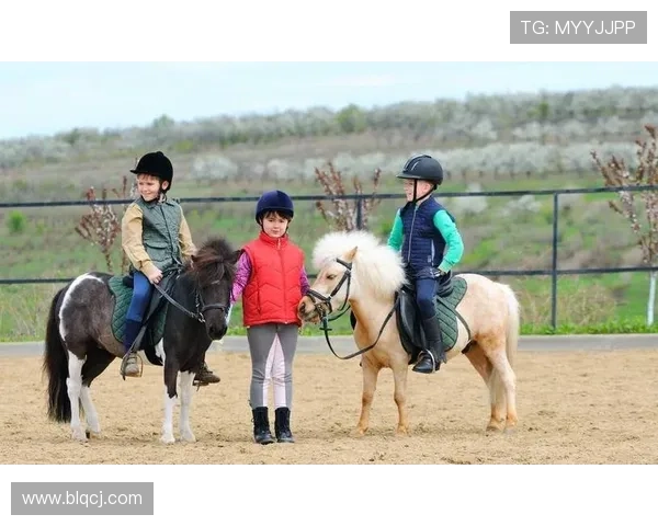 足球明星矮脚马的魅力与风采揭秘及其在球场上的独特表现